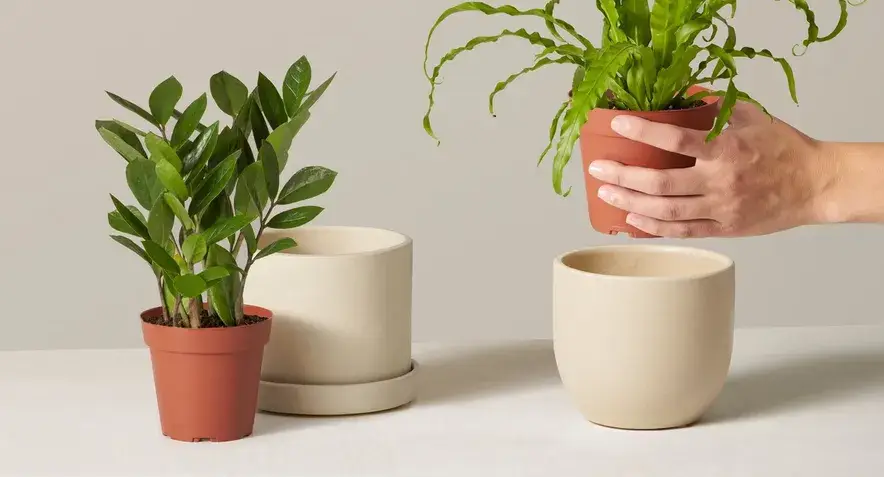 To Pot or Not to Pot?