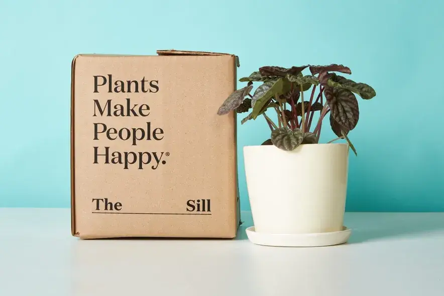 New Digs: Moving Plants Small & Tall